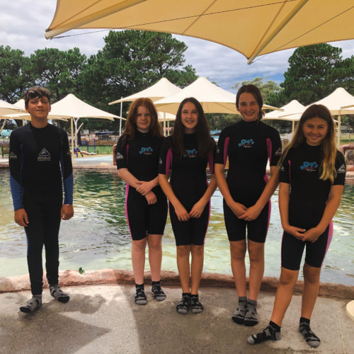 Skyspan Commercial Umbrellas