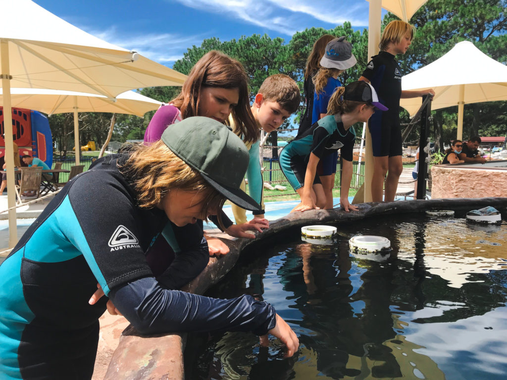 Skyspan Commercial Umbrellas