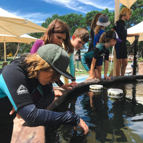 Skyspan Commercial Umbrellas