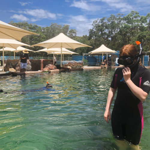 Skyspan Commercial Umbrellas