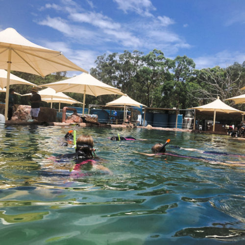 Skyspan Commercial Umbrellas